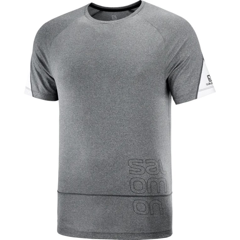 Grey Salomon Cross Run Graphic Short Sleeve Men's T-Shirts | IE YP6401